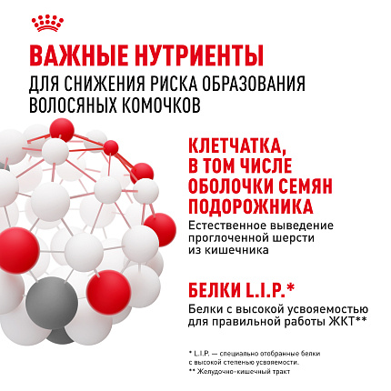 Сухой корм Royal Canin Hairball Care (ХЭЙРБОЛЛ КЭА) 10 кг